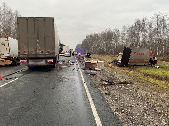 На трассе в Пензенской области водитель вышел из фуры и погиб