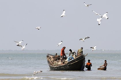 Небогатый рыбак поймал редчайшую рыбу и продал ее за девять миллионов рублей