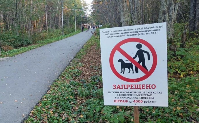 Правила выгула животных в парке Долинска обсудили после нападения собаки на ребёнка