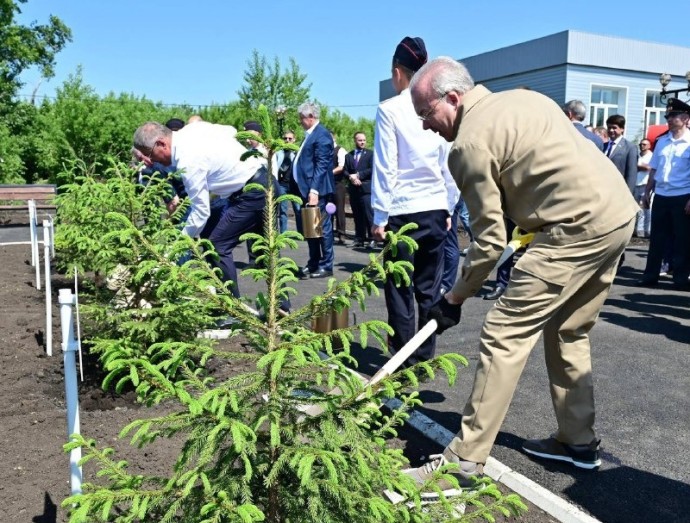 За 6 лет в Башкирии удалось восстановить леса на площади 93 тысячи га