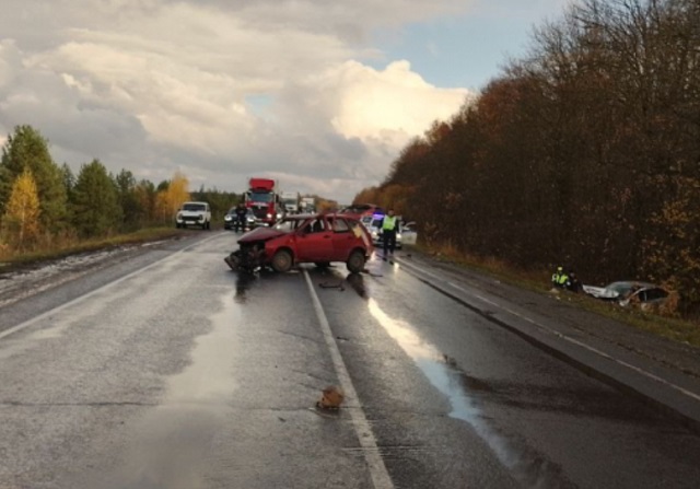 "Гранта" и "Калина" столкнулись в Чамзинском районе Мордовии, пострадали водители