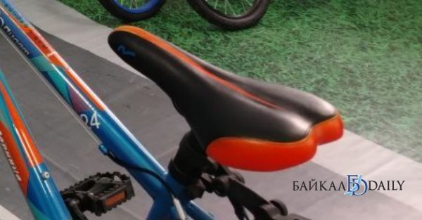 Жительницу Бурятии осудили за кражу велосипеда