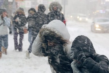 Россию ждет аномальная зима с -40°C и отсутствием снега. Обнародован новый прогноз