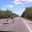 Новгородцам следует быть бдительнее из-за возможного выхода животных на дороги