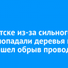 В Иркутске из-за сильного ветра попадали деревья и произошел обрыв проводов