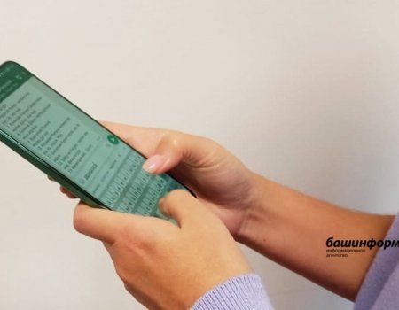 В Башкирии произошел массовый сбой в работе мессенджера WhatsApp*