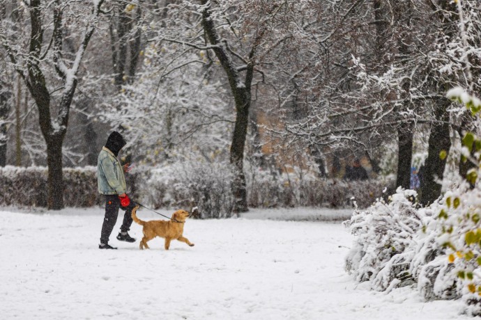 Синоптик Позднякова: Снежный покров сформируется в Москве в среду