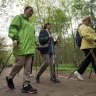 Спортивный променад пройдет в парках северо-востока Москвы в День ходьбы