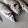 Названы лучшие продукты, чтобы восполнить витамины