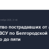 Количество пострадавших от атак дронов ВСУ по Белгородской области возросло до пяти