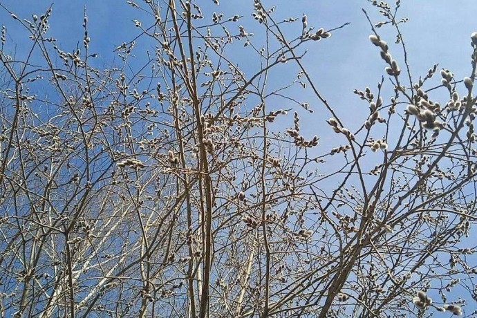 Солнечно и до +5°C ожидается в Нижнем Новгороде 20 марта