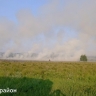 В Башкирии загорелась сухая трава