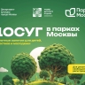 Регулярные бесплатные занятия в Москве: саморазвитие для молодежи