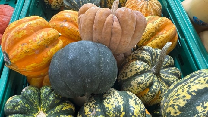 Врач из Уфы перечислила самые полезные овощи для зимнего рациона Врач из Уфы перечислила самые полезные овощи для зимнего рациона