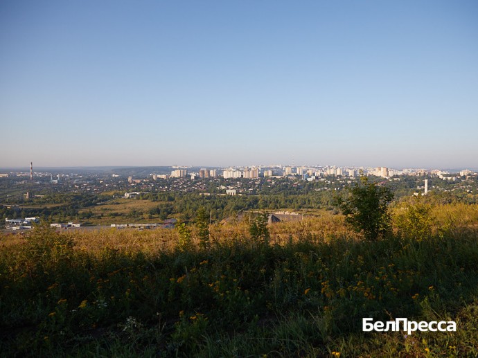 Как изменилась Белгородская область за 5 лет