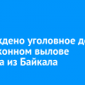 Возбуждено уголовное дело о незаконном вылове хариуса из Байкала