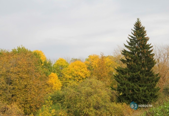 Новгородцам сообщили отличную новость о погоде на ближайшие дни Новгородцам сообщили отличную новость о погоде на ближайшие дни