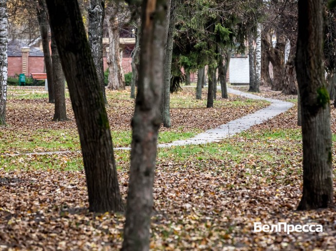 Вместо парка «Котофей» в Белгороде запустят новый парк