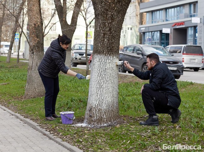 На улицах Белгорода провели первый масштабный субботник сезона
