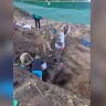 Отряд «Цитадель» под Новомосковском обнаружил останки четырёх солдат