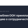 Генассамблея ООН приняла резолюцию о сотрудничестве с ШОС