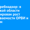 Роспотребнадзор: в Иркутской области зафиксирован рост заболеваемости ОРВИ и гриппом