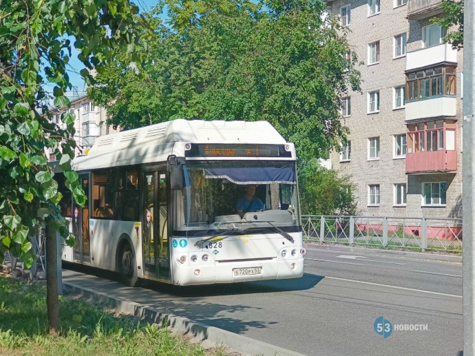 На Пасху в Великом Новгороде запустят дополнительный автобусный маршрут