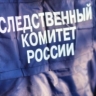 В Ижевске мужчина признан виновным в призывах к осуществлению экстремистской деятельности и краже