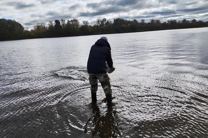 Стерлядь из Челябинска переселили в Вятку