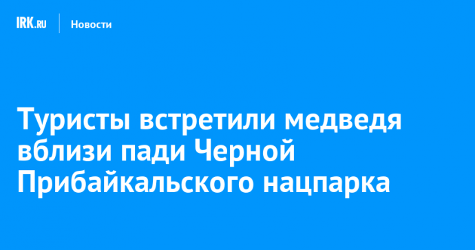 Туристы встретили медведя вблизи пади Черной Прибайкальского нацпарка