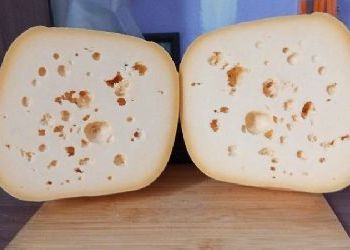 Вдова ветерана СВО в Приамурье возродила семейный бизнес в память о муже Вдова ветерана СВО в Приамурье возродила семейный бизнес в память о муже