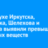 В воздухе Иркутска, Ангарска, Шелехова и Братска выявили превышение вредных веществ