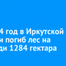 За 2024 год в Иркутской области погиб лес на площади 1284 гектара