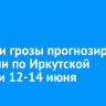 Ливни и жару до +30 градусов прогнозируют в Иркутской области 12-14 июня