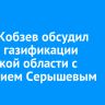 Игорь Кобзев обсудил вопрос газификации Иркутской области с Анатолием Серышевым