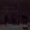 В Пензенской области под колесами поезда погибла женщина