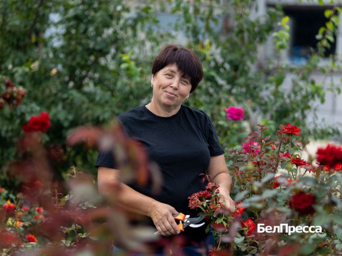 Крёстная-волшебница. Как жительница Чернянского района стала второй мамой для бойцов СВО Крёстная-волшебница. Как жительница Чернянского района стала второй мамой для бойцов СВО