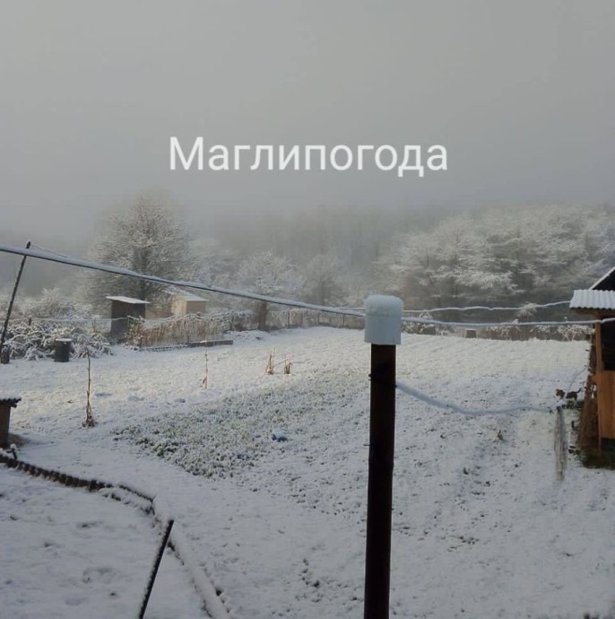 Волшебство зимней ночи: Приморье укрыло снежным покрывалом