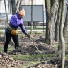 Сергей Собянин объявил даты проведения общегородских субботников в Москве