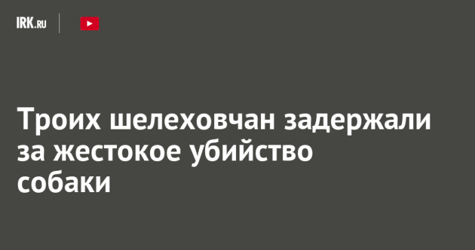 Троих шелеховчан задержали за жестокое убийство собаки Троих шелеховчан задержали за жестокое убийство собаки