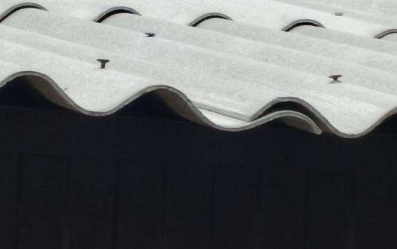 «Почему наши ребята должны Родину защищать, а нас государство не защищает?»: В Курской области подрядчик обманул две семьи участников СВО