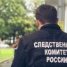 Бил молотком по голове и телу: сахалинца обвиняют в покушении на убийство