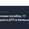 Семь человек погибли, 11 пострадали в ДТП в Калмыкии