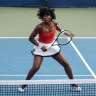 Французский журналист высмеял выдачу "уайлд-кард" на US Open Винус Уильямс