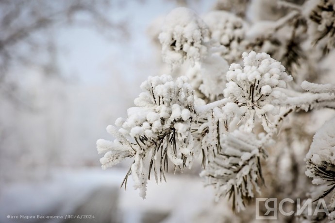Небольшой снег и до -53 градусов: прогноз погоды в Якутии на 1 декабря