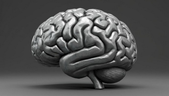 Свинцовый мозг