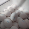 Костромичам рассказали, где купить продукты с 30-процентной скидкой