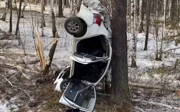 В Иркутской области во влетевшей в дерево и вставшей на капот машине погибла пассажирка