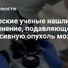 Сибирские ученые нашли соединение, подавляющее агрессивную опухоль мозга