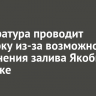 Прокуратура проводит проверку из-за возможного загрязнения залива Якоби в Иркутске
